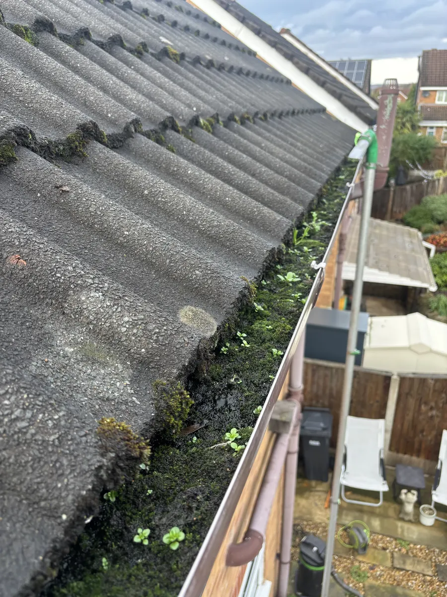 Gutters, soffits & fascias before cleaning