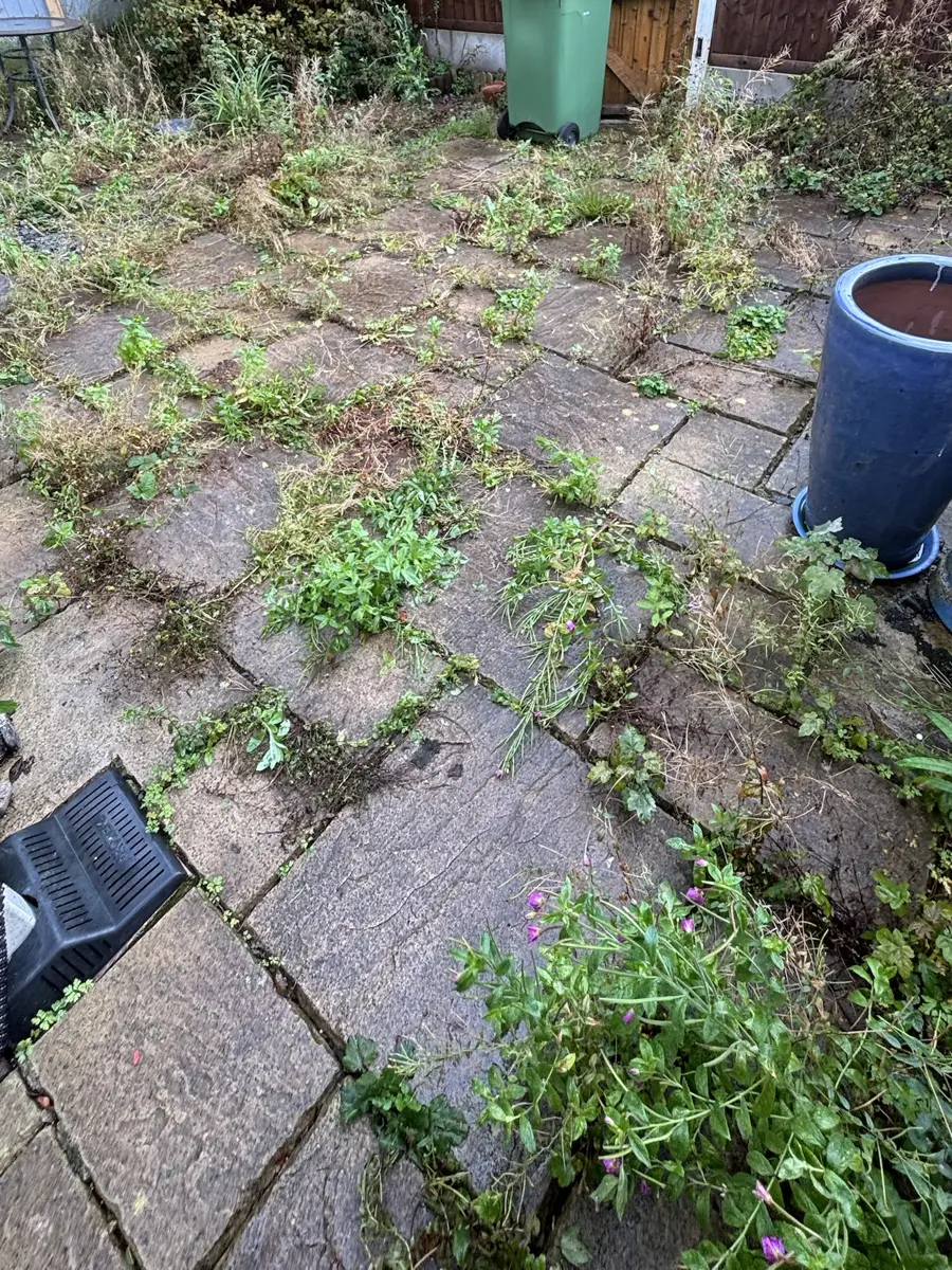 Overgrown patio, Horwich before cleaning