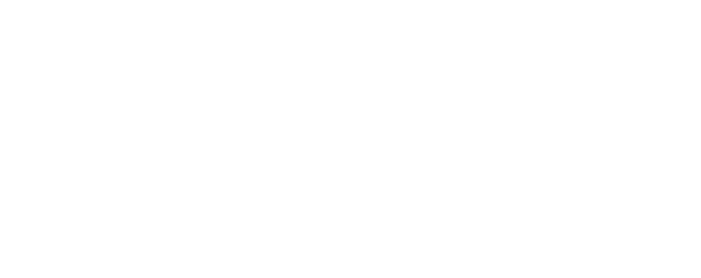 Washi's Exterior Cleaning