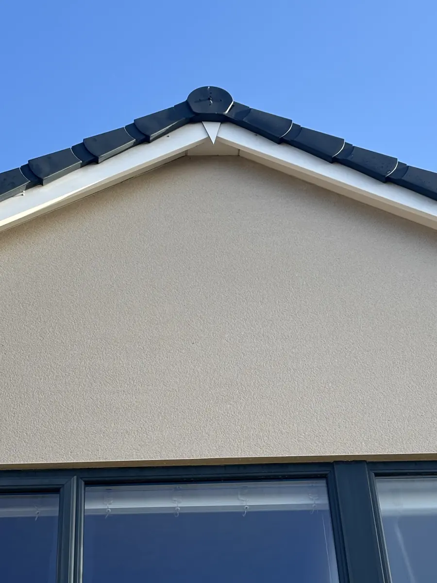 Render softwashing after cleaning