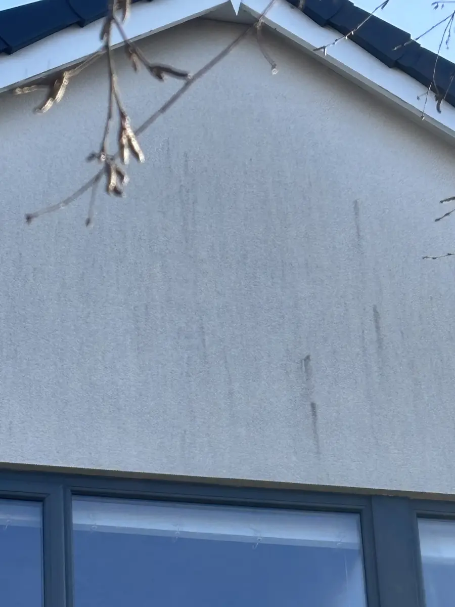 Render softwashing before cleaning