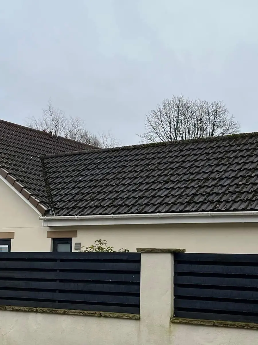 Roof cleaning before cleaning